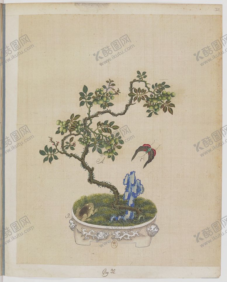 编号：79831504141556294618【酷图网】源文件下载-盆景花鸟