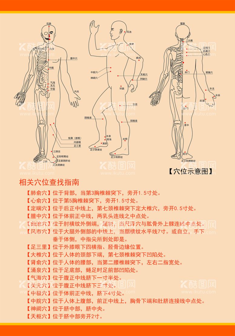 编号：48619509261734053975【酷图网】源文件下载-穴位图展板