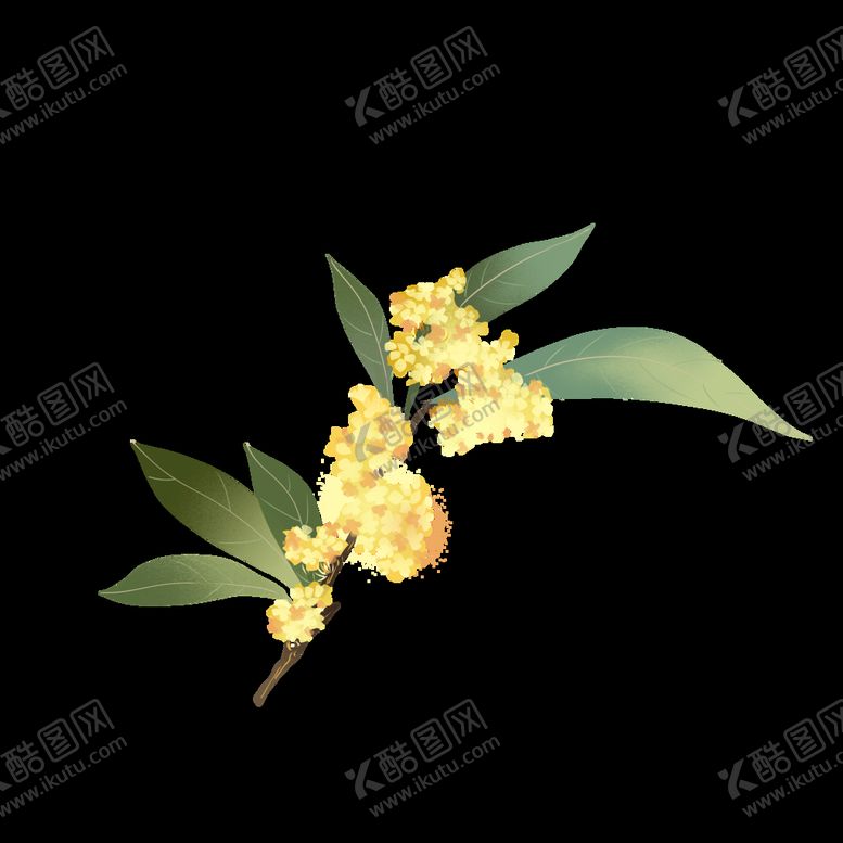 编号：83803710201719453964【酷图网】源文件下载-手绘桂花png免抠素材