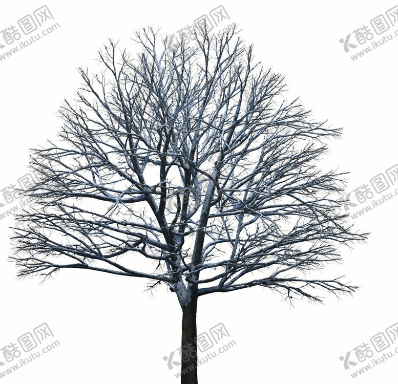 编号：25827007011945425847【酷图网】源文件下载-树林