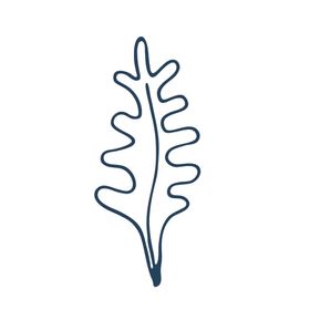 手绘海洋生物