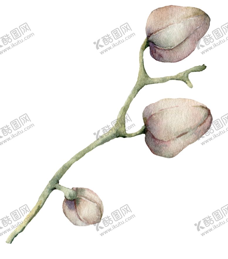编号：49738806270824459343【酷图网】源文件下载-植物花朵装饰图案