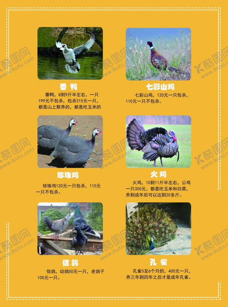 编号：43393211010641294760【酷图网】源文件下载-农家饲养