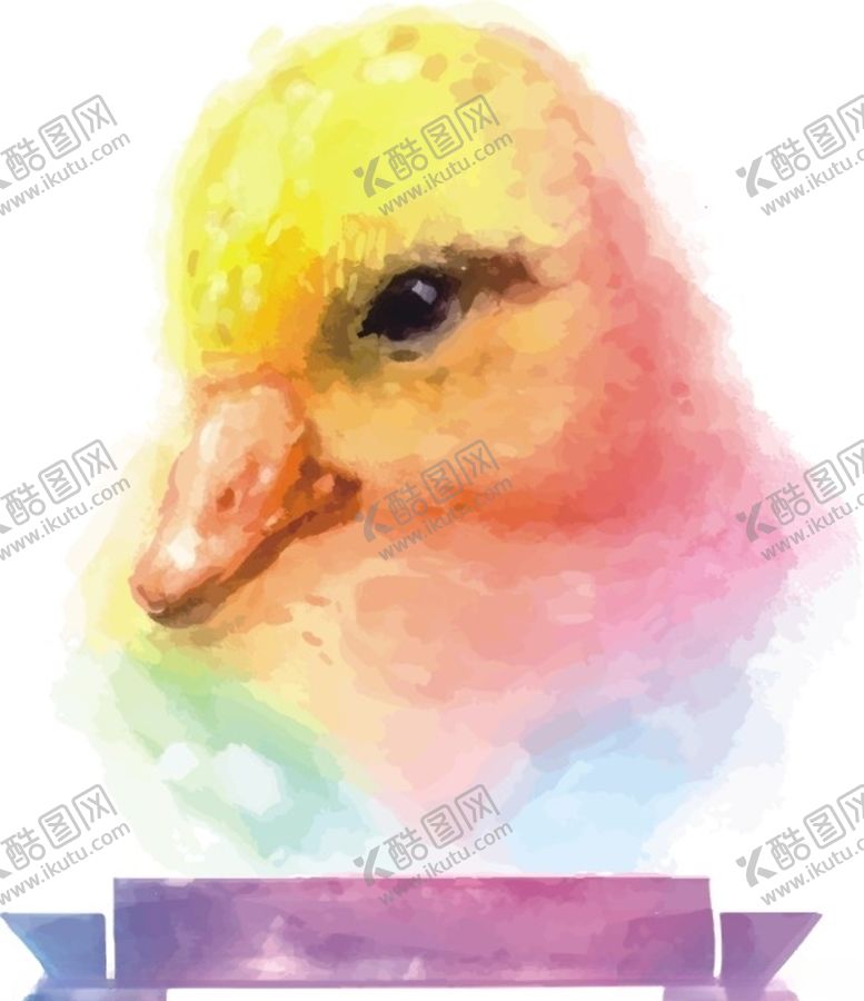 编号：51923110290101432104【酷图网】源文件下载-鸭子