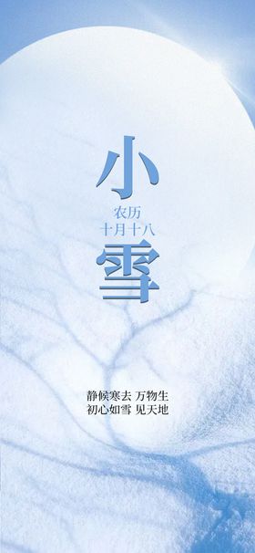 浅蓝色小雪节气海报