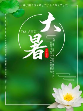 大暑处图片金属蜻蜓