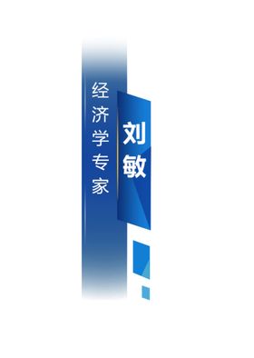 蓝色字幕条人名人物介绍视频采访