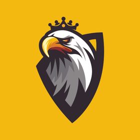 雄鹰LOGO