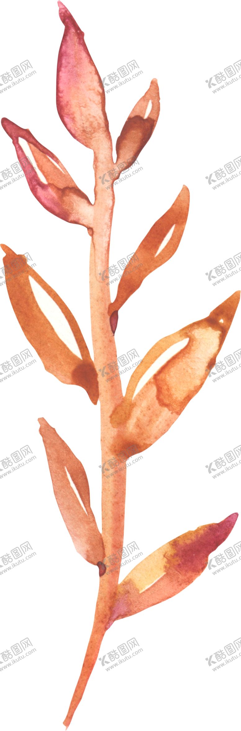 编号：92815509141834252978【酷图网】源文件下载-叶子