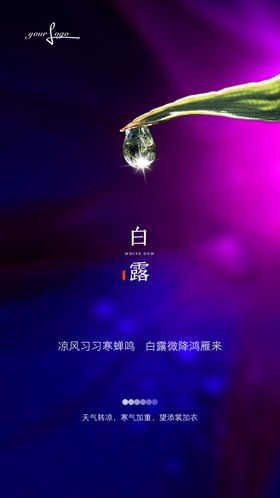 房地产白露节气微信海报
