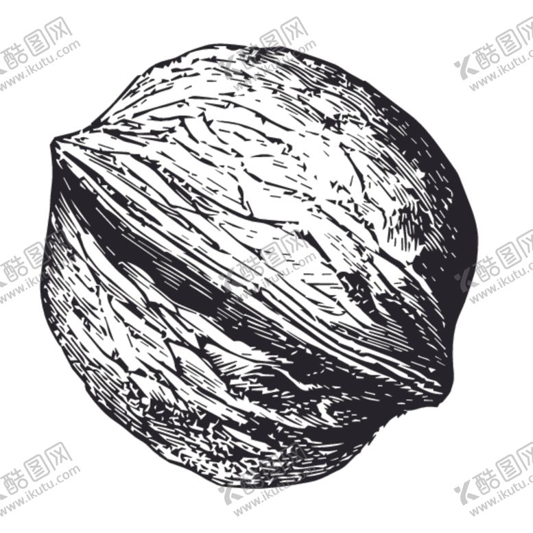 编号：11649709091521089040【酷图网】源文件下载-水果绘画线稿图案