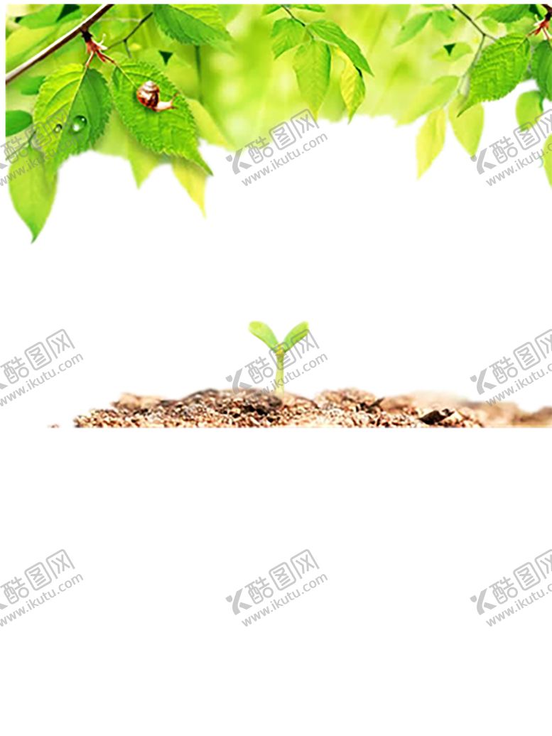 编号：37019010031903501263【酷图网】源文件下载-绿色背景