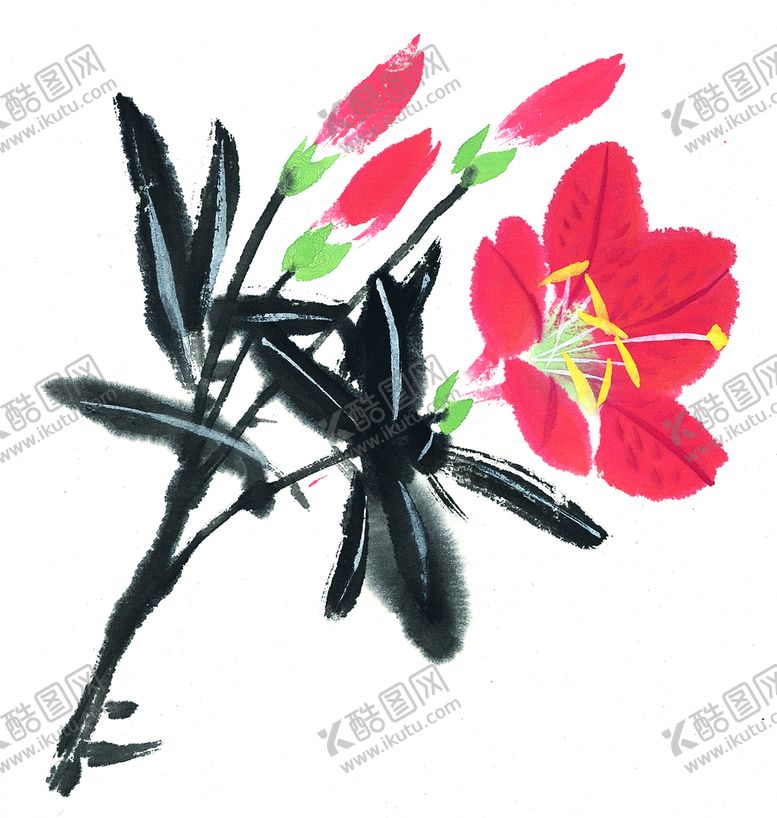 编号：17856410041433112639【酷图网】源文件下载-牡丹花