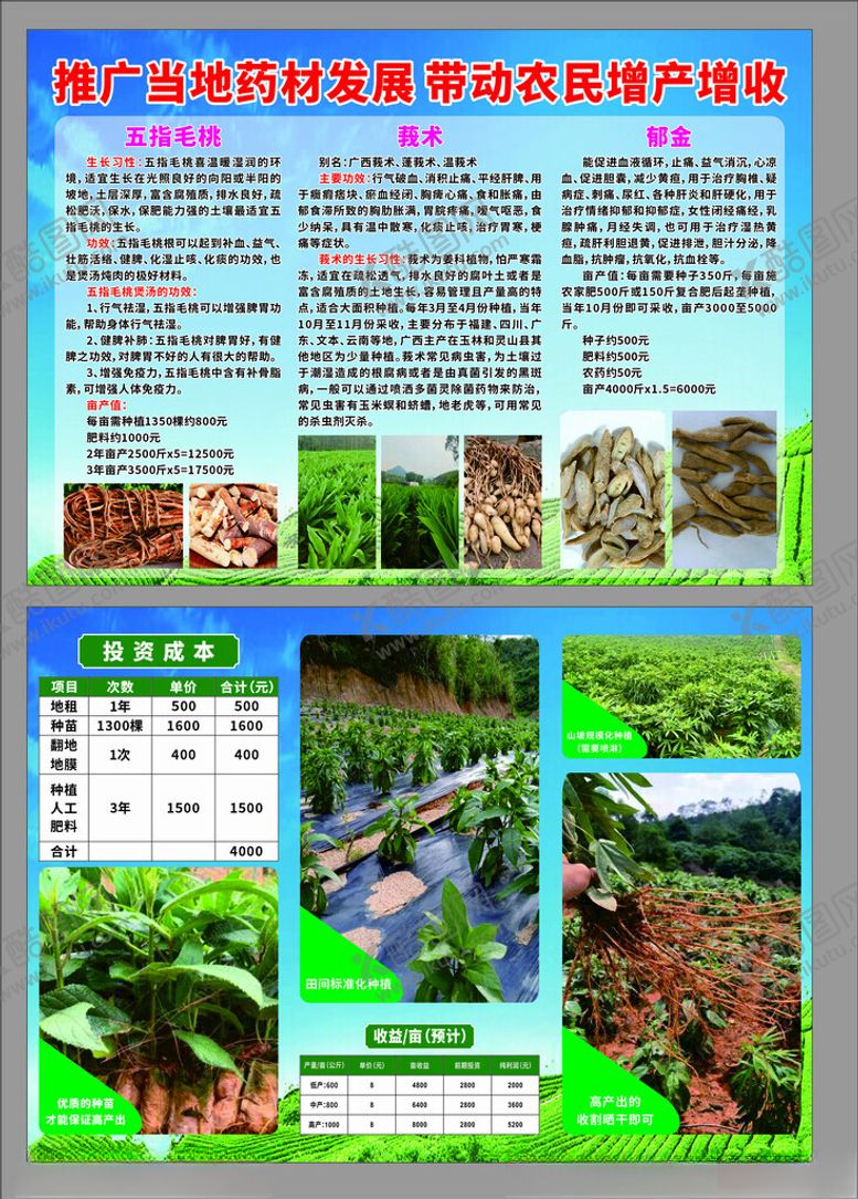 编号：76150402252023218553【酷图网】源文件下载-中药材推广种植