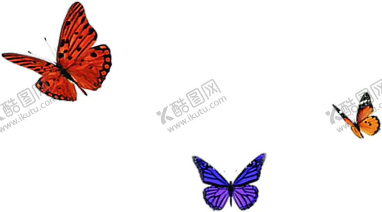 编号：97079109111759503412【酷图网】源文件下载-红色背景