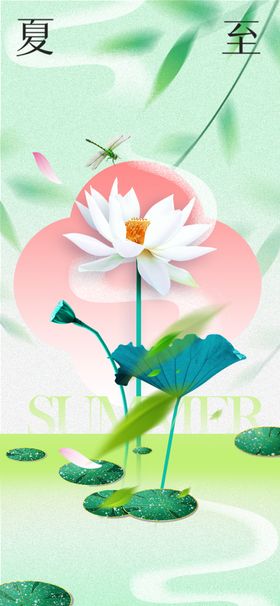 夏至宣传活动节气传统
