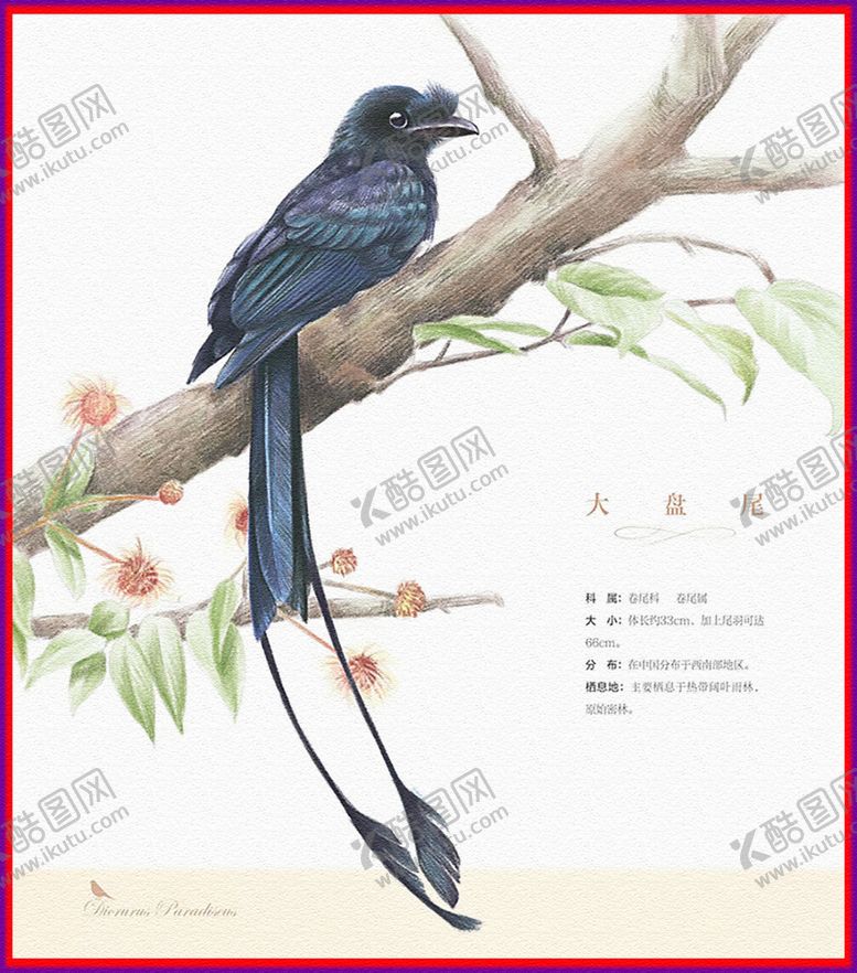 编号：38987005020452192948【酷图网】源文件下载-大盘尾