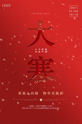 大寒简约大气海报