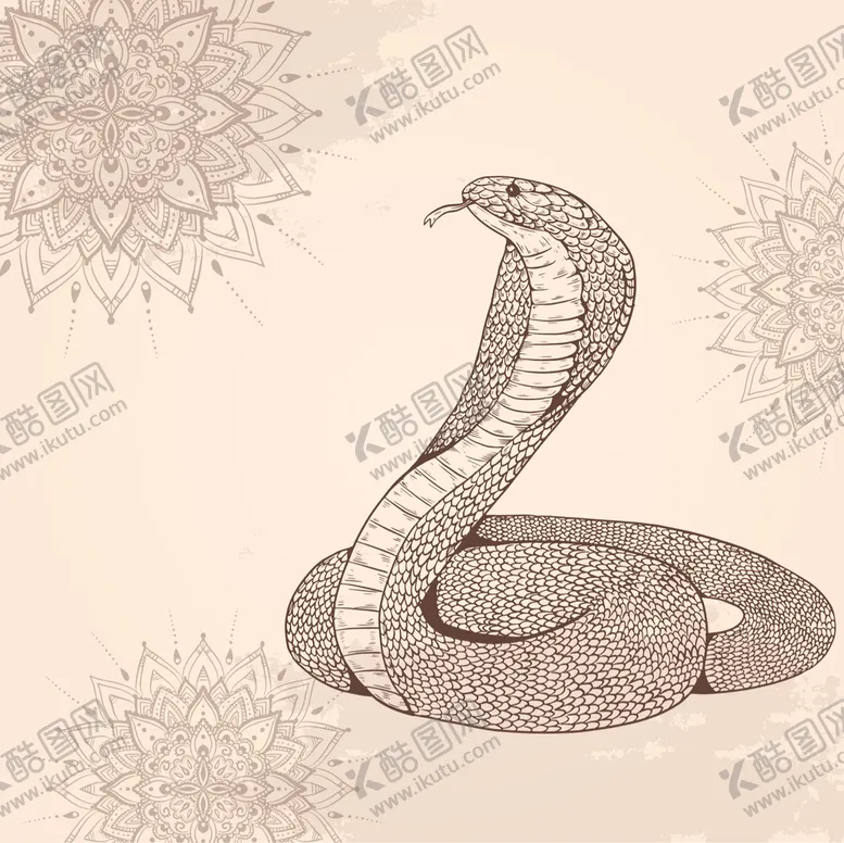 编号：86934709160820050124【酷图网】源文件下载-眼镜蛇插画