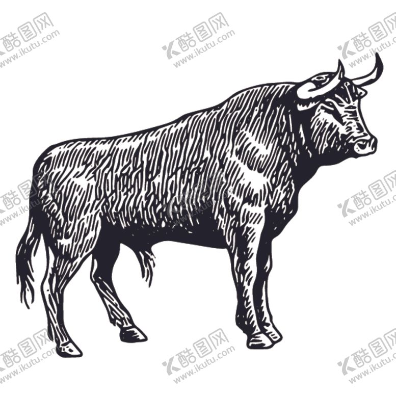 编号：32054407081034391530【酷图网】源文件下载-牦牛插画