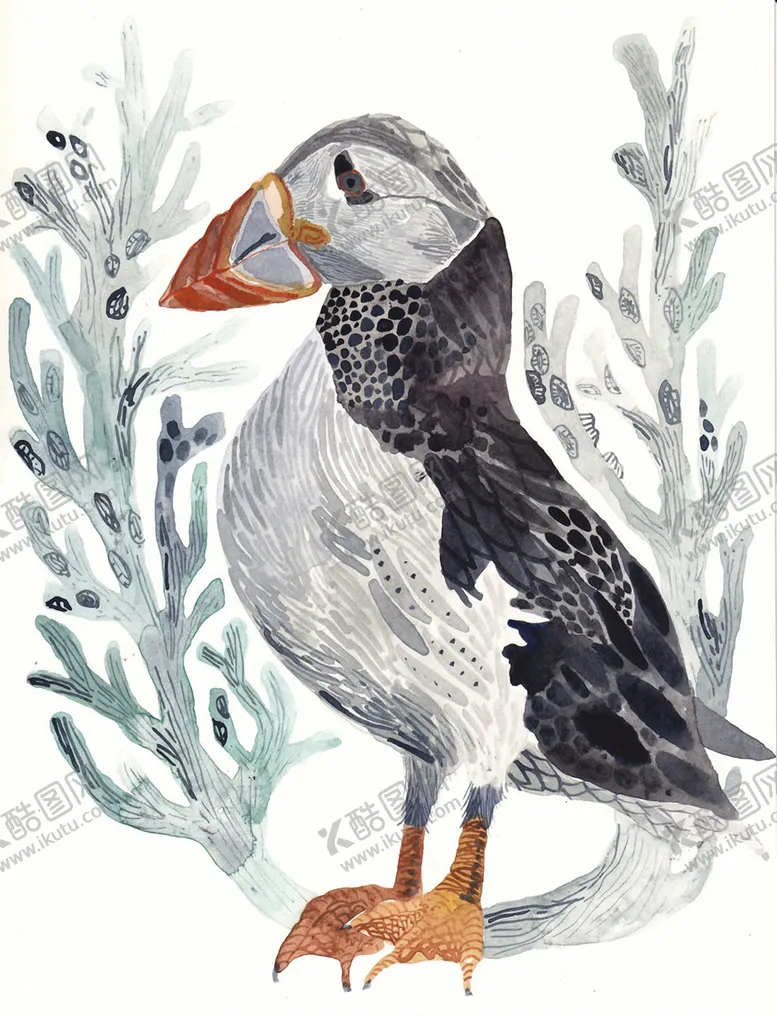 编号：57630509101435113135【酷图网】源文件下载-北欧风格淡色鸟禽水彩画