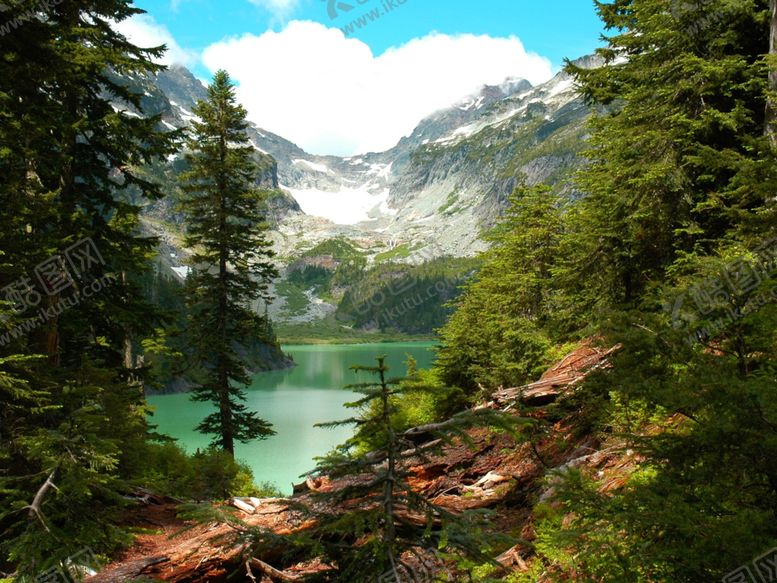 编号：55060009262243122626【酷图网】源文件下载-森林