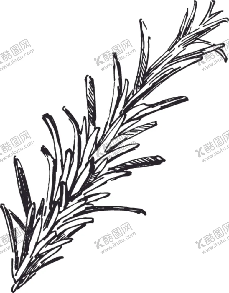 编号：62060207031016431901【酷图网】源文件下载-素描鲜花