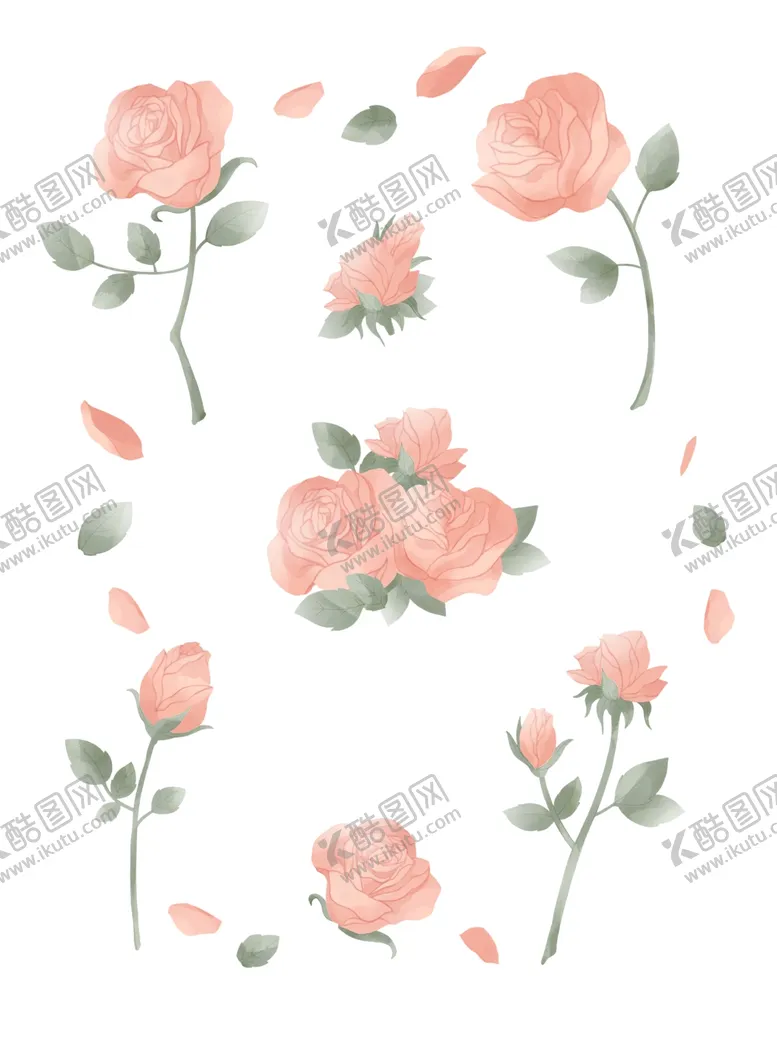 编号：81555704302156199884【酷图网】源文件下载-玫瑰