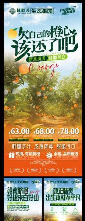 赣南脐橙生态水果