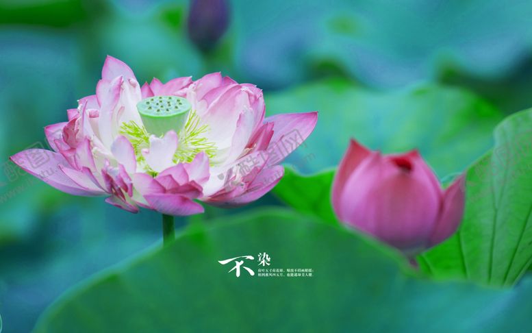 编号：37917706190449142116【酷图网】源文件下载-风景图片