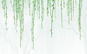 春天背景鸟语花香清新美季