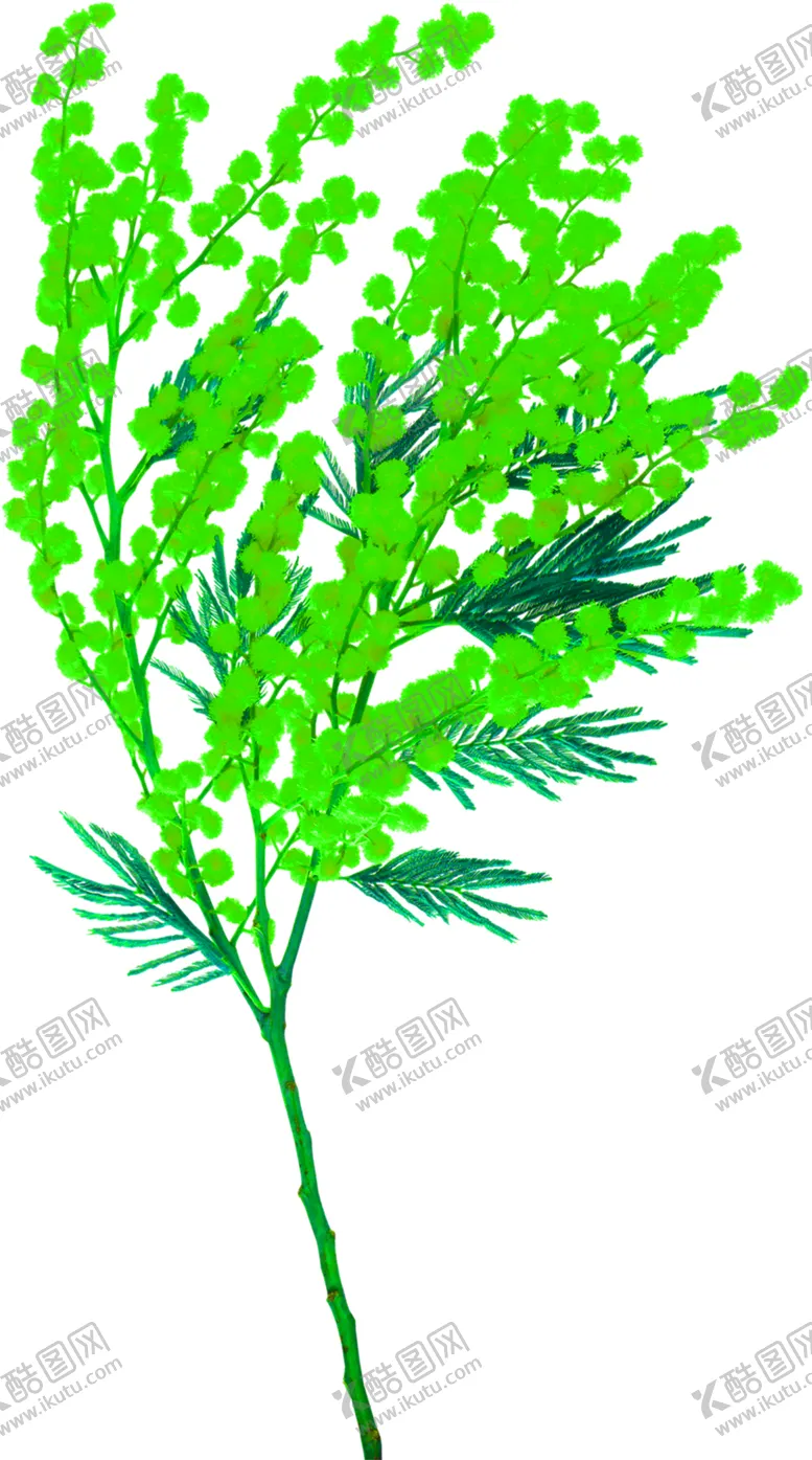 编号：38725206161320069157【酷图网】源文件下载-花素材
