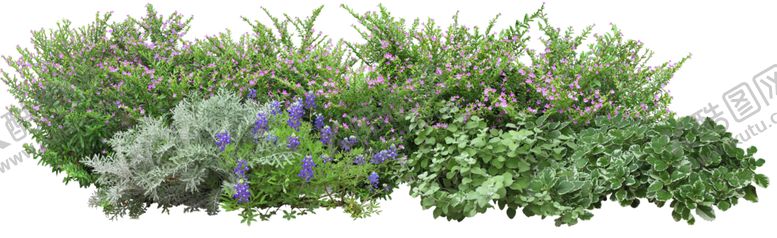 编号：15422409192055137264【酷图网】源文件下载-免扣植物