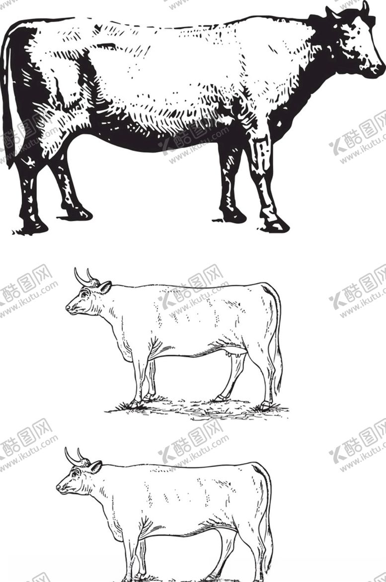 编号：10047105180418334664【酷图网】源文件下载-线描牛图案