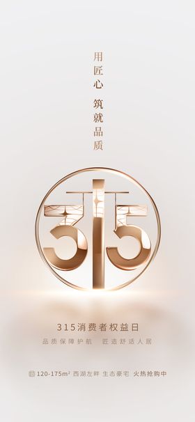 315宣传海报