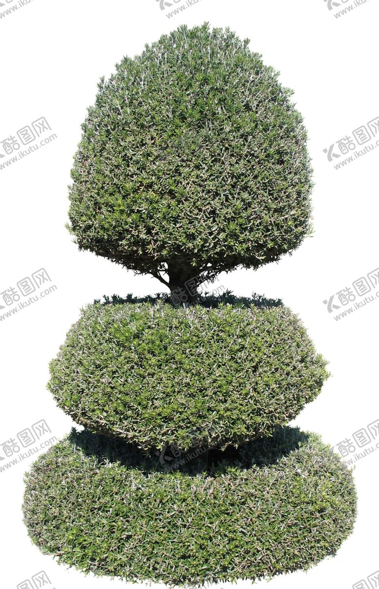 编号：96382310102239302982【酷图网】源文件下载-免扣植物树木素材