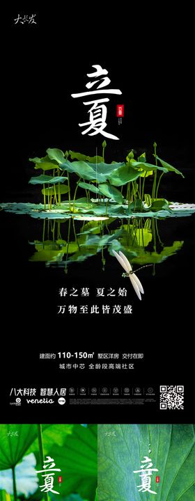 立夏节气系列海报小清新荷叶二十四
