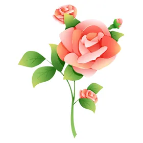 玫瑰花图片朵素材素材元素