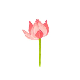 荷花手绘元素设计