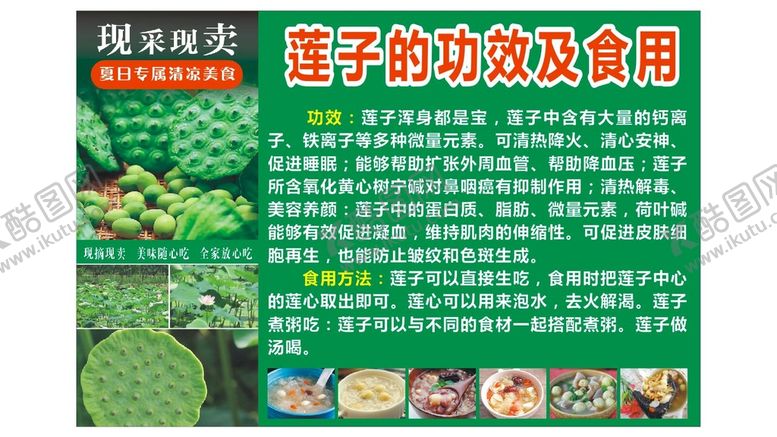 编号：86747011051911224270【酷图网】源文件下载-莲子 功效 食用 绿色海报 