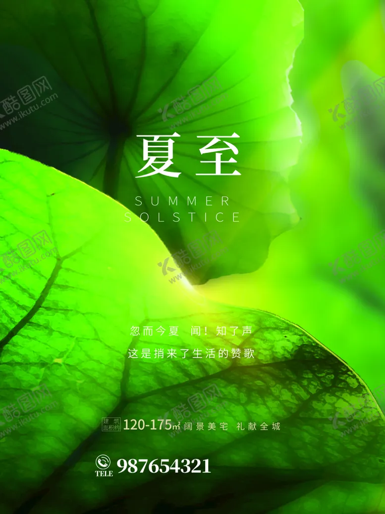 编号：78526009171646376314【酷图网】源文件下载-夏至