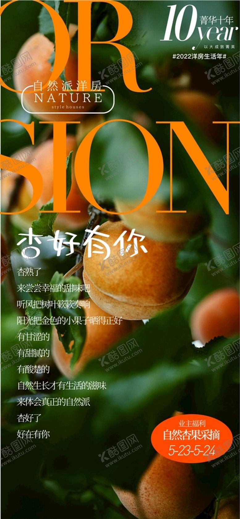 编号：42251410291802269826【酷图网】源文件下载-杏子采摘活动海报