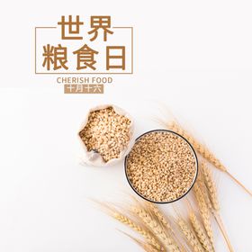 世界粮食日珍惜杜绝浪费