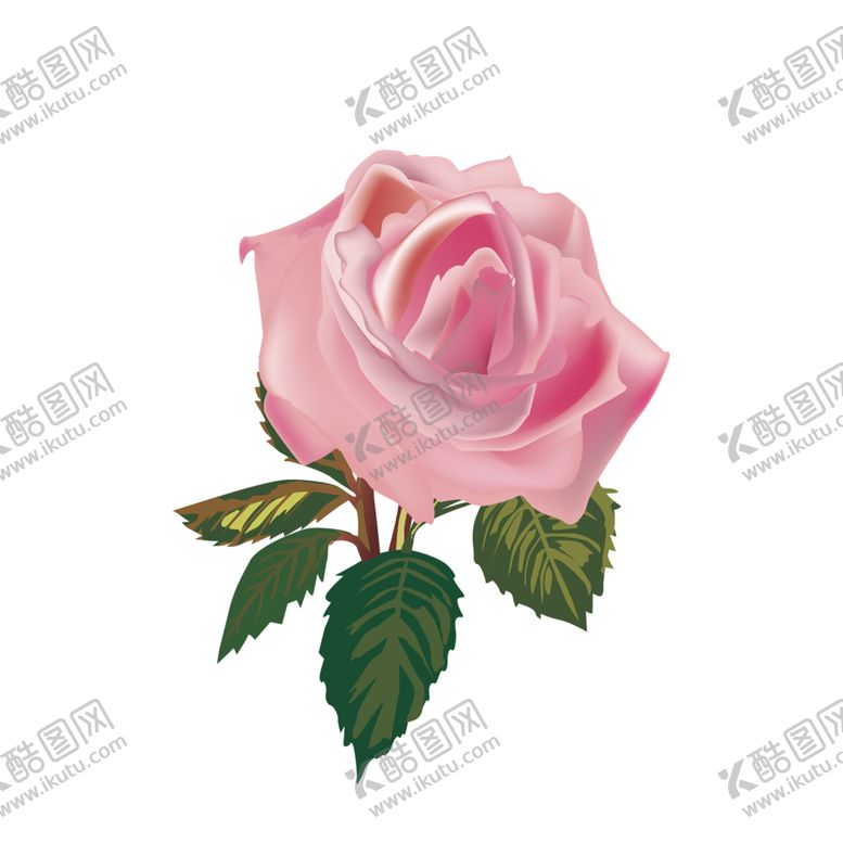 编号：18651110312059073075【酷图网】源文件下载-鲜花素材