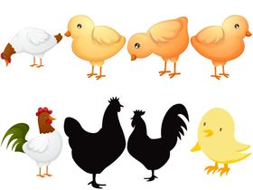 卡通鸡