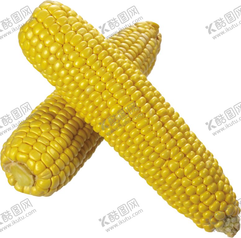 编号：35844909251004254331【酷图网】源文件下载-玉米