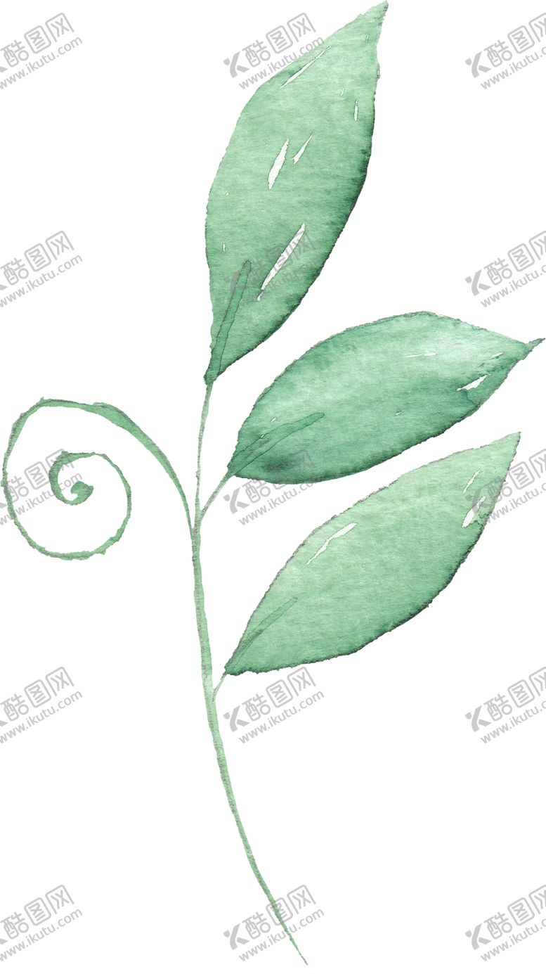 编号：33528205171839294632【酷图网】源文件下载-海报元素花草元素展架元素