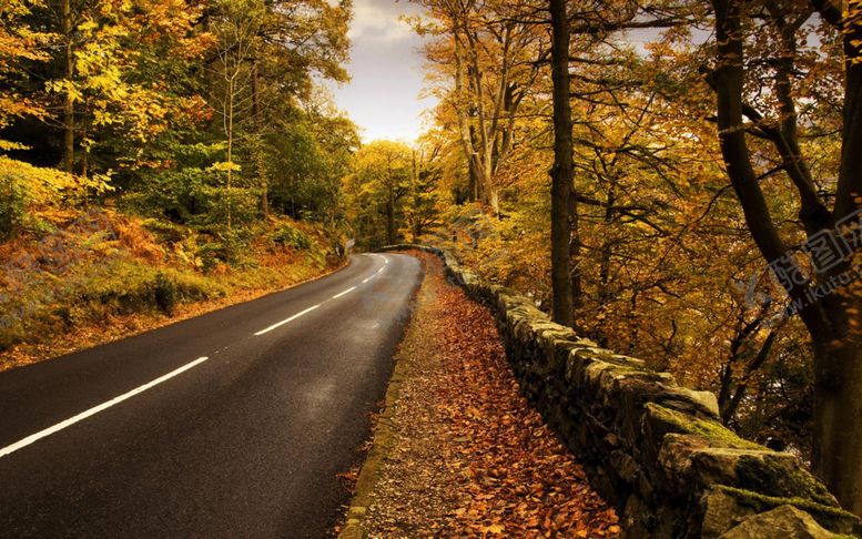 编号：29666409171803007460【酷图网】源文件下载-森林