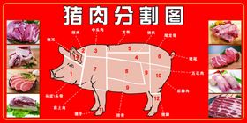 猪肉分割图