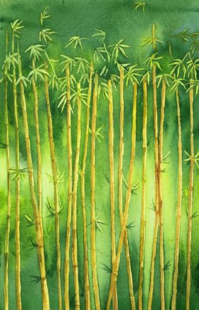 植物竹子装饰图案